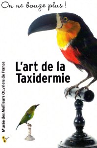 l'Art de la taxidermie