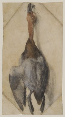 LA NATURE MORTE et taxidermie