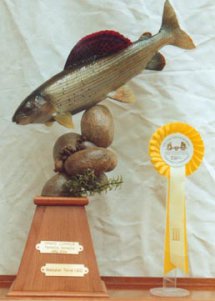 Concours européen de taxidermie 1998