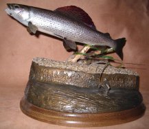 Championnat du monde de taxidermie