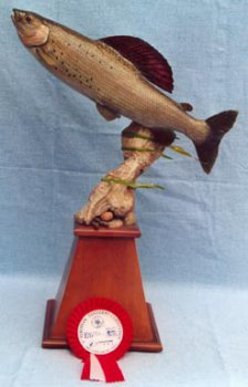 Concours européen de taxidermie 2002