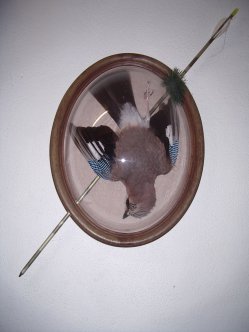 LA NATURE MORTE