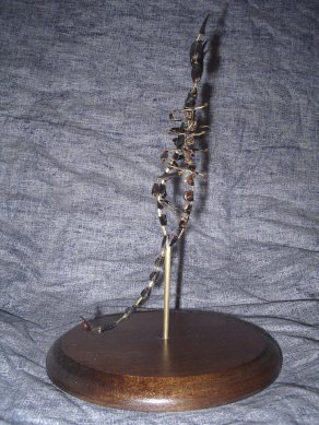 scorpion éclaté à la Beauchêne