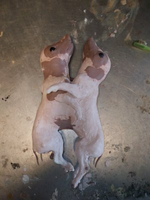 taxidermie cochon siamois