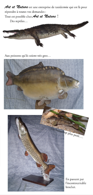 taxidermie poissons