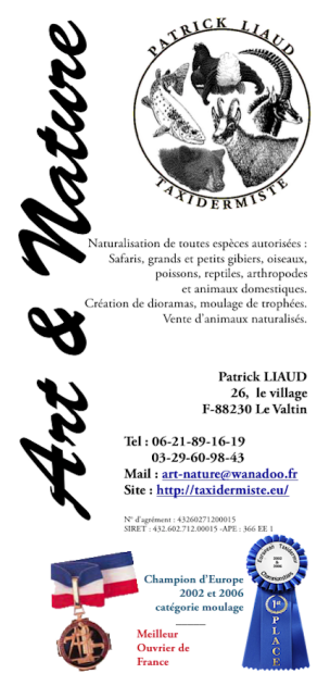 art et nature Patrick LIAUD