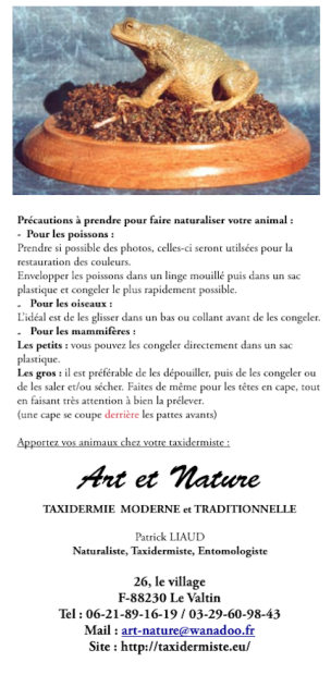 précaution en taxidermie