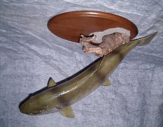 la taxidermie des poissons