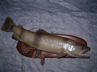 pêche et taxidermie