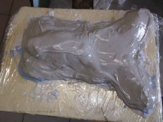 moulage grenouille, en photo