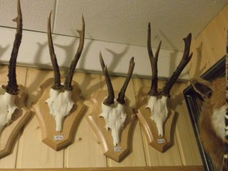 bois chevreuil, vente