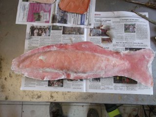 taxidermie-moulage