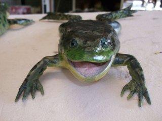 moulage amphibien