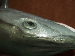 taxidermie-moulage du bonefish