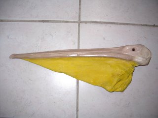 La taxidermie des oiseaux