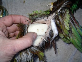 La taxidermie des oiseaux, en photos