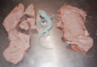 moulage reptile,