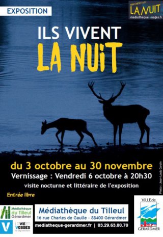 les animaux nocturnes