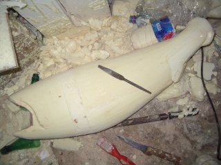 la taxidermie des poissons