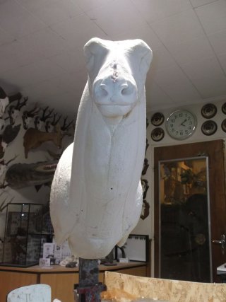 sculpture cerf
