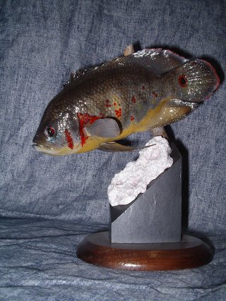 oscar, vente
