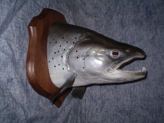 trophée de pêche