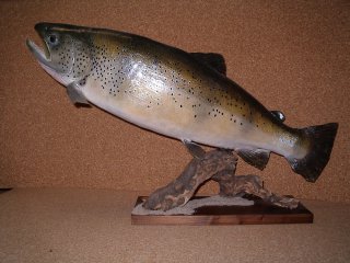 pêche et taxidermie