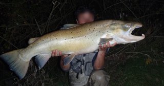 1,10 m pour 14 kg